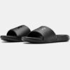 Ansa Fixed Slides