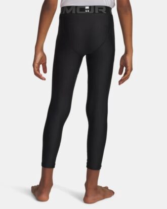 HeatGear® Armour Leggings
