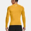 HeatGear® Compression Langarm
