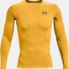 HeatGear® Compression Langarm