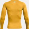 HeatGear® Compression Langarm