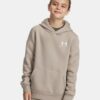 Icon Fleece Hoodie