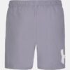 Logo Volley Badeshorts Logo Volley Badeshorts