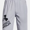 Prototype 2.0 Logo Shorts