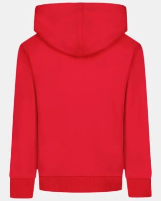 Rival Fleece Print Fill Hoodie