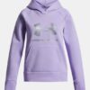 Rival Fleece Shimmer Hoodie Rival Fleece Shimmer Hoodie