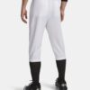 Utility Baseball Knicker